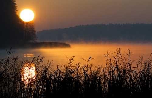 ТЕАТР СОЛНЦА 14 - ЛЕСНОЕ ОЗЕРО...