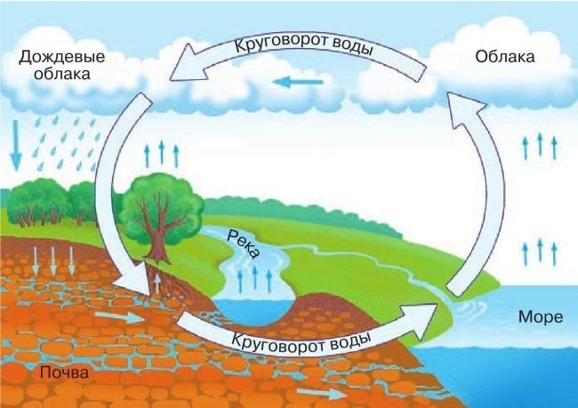 Круговорот воды в природе