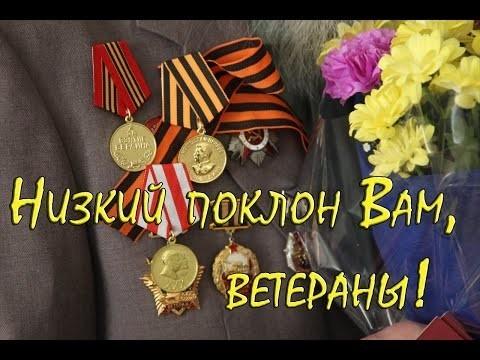 Низкий поклон Ветеранам войны!