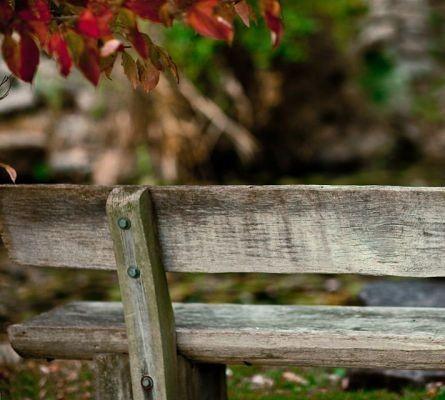 ЛАВОЧКА ВОСПОМИНАНИЙ