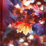 Тихой милой осенью…