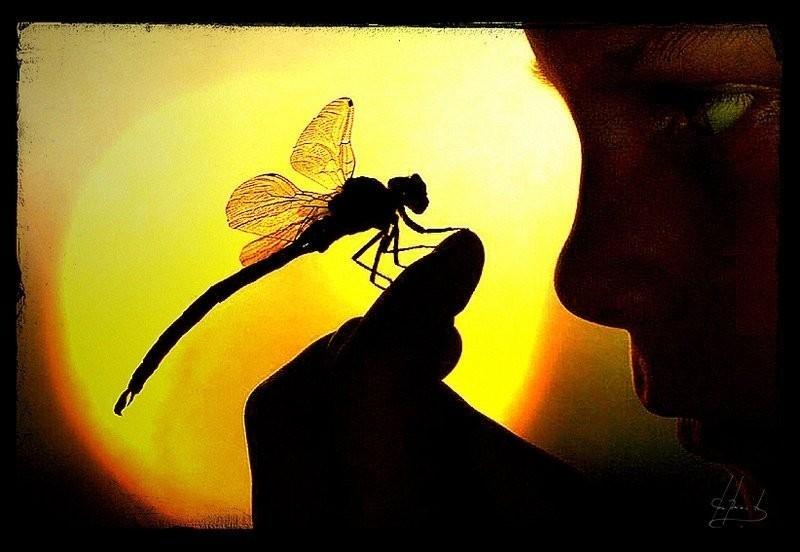 Цени сейчас, а не потом...