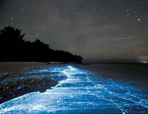 Вид на море