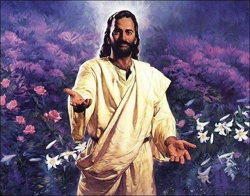 ЯВИ СВОЙ СВЕТ