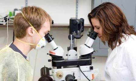 Мы смотрели  в микроскоп...