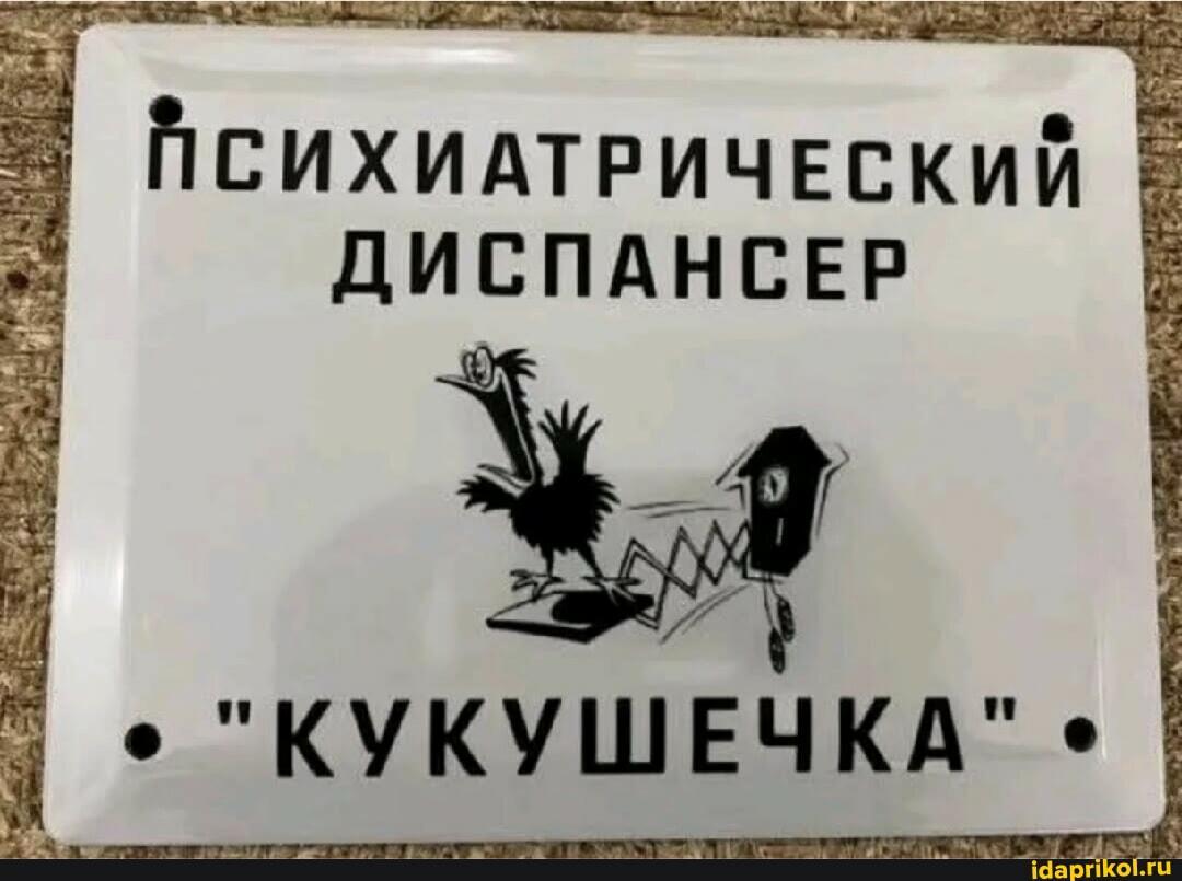 Сокол Сокол