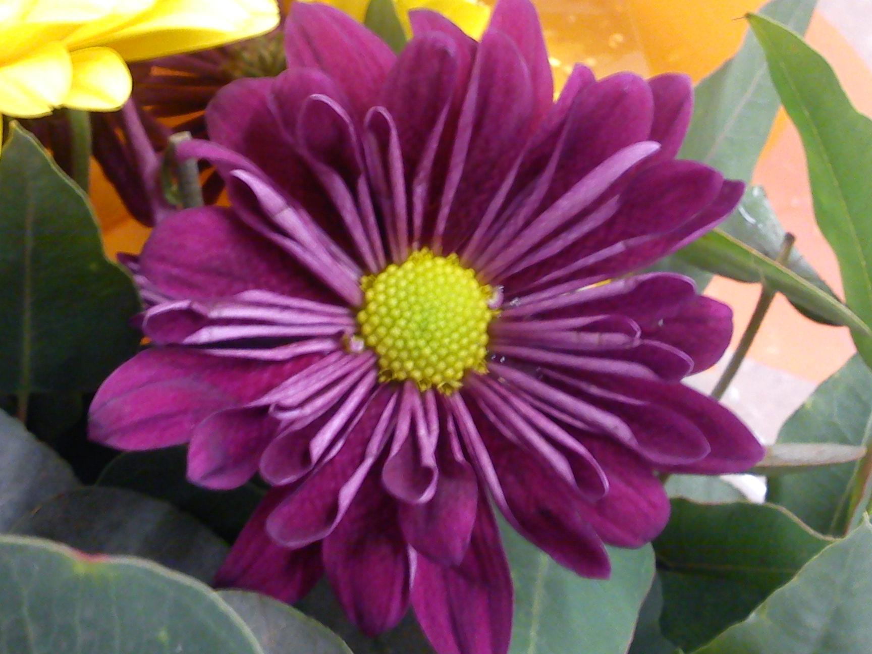 Притчи, глава 14 - перевод с иврита