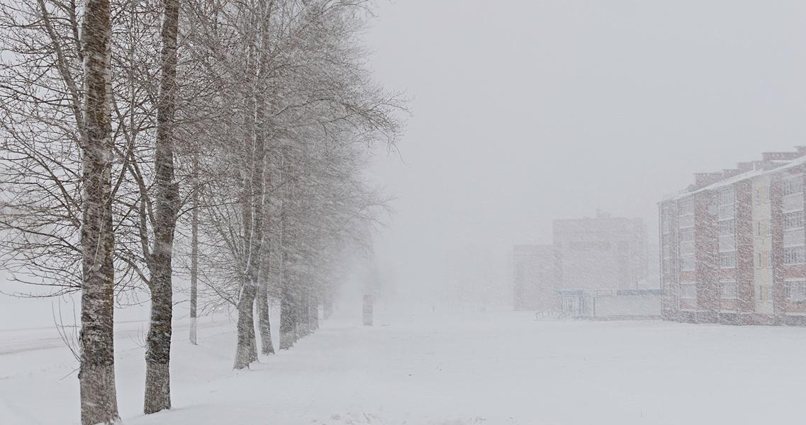 Зима в ударе...