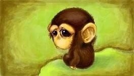 БЫВАЮТ И ОГОРЧЕНИЯ