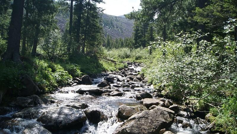 Я НА БОЛОТО БЫ СБЕЖАЛА!!!