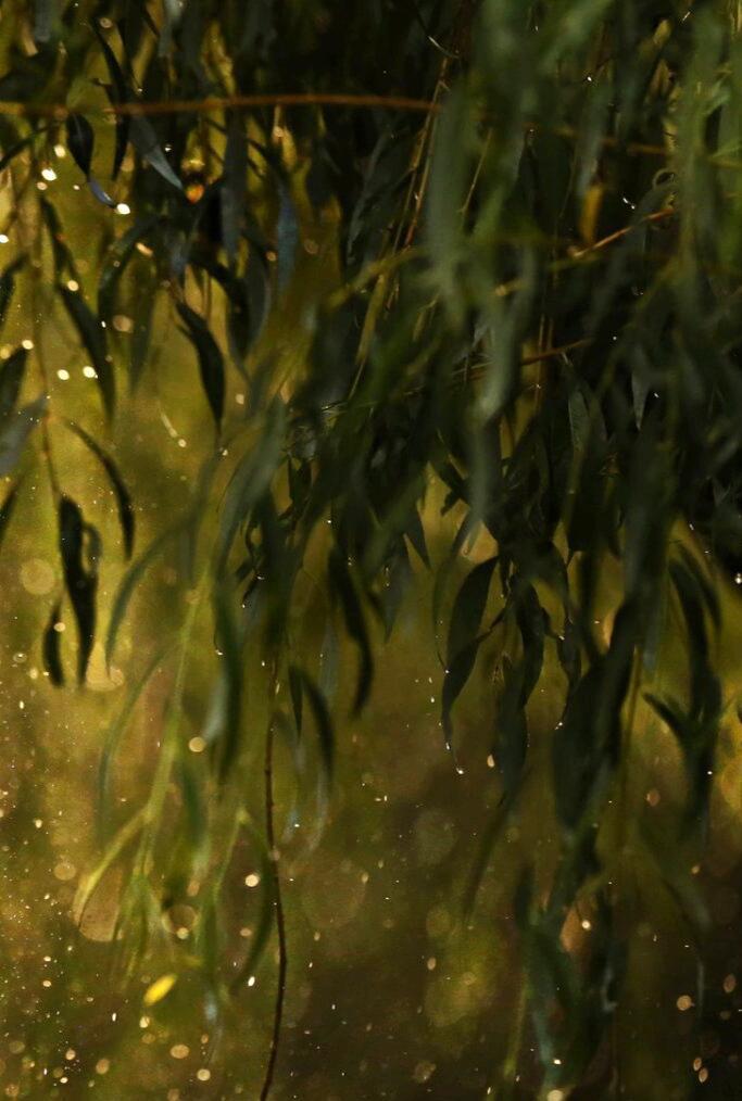 Лето уходит...