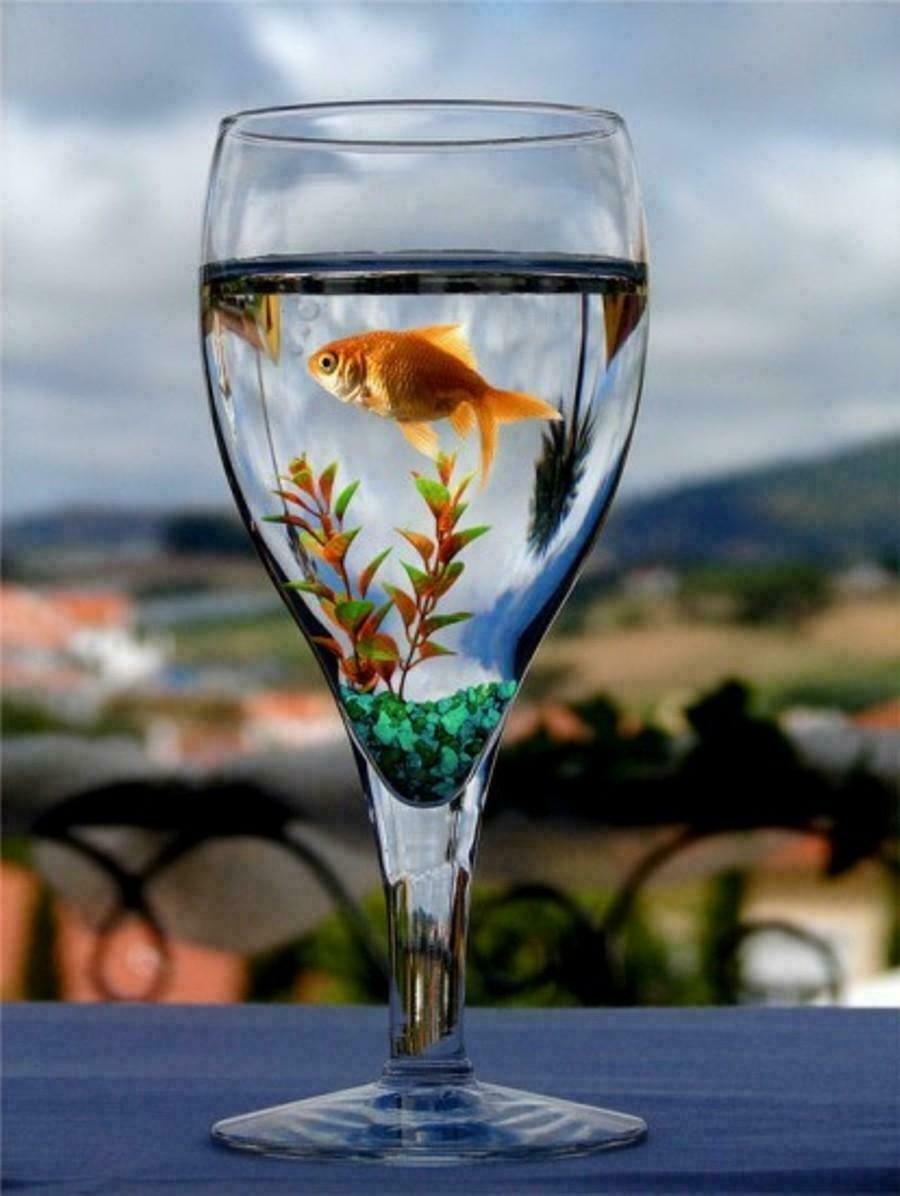 Одностишия - 251-300