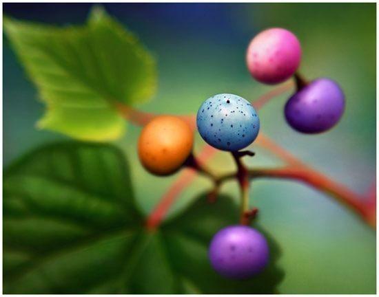 Творчество - это...