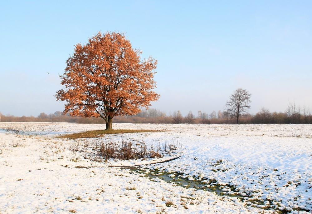 Три рассказа