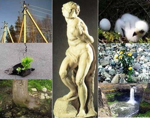 Путь к свету