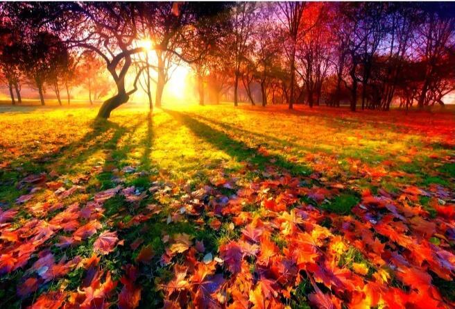 Осень цвета меланжевой пряжи