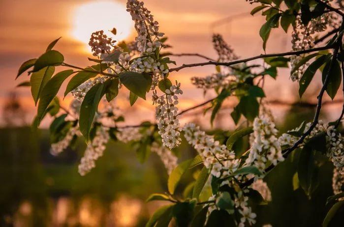 Майская прогулка