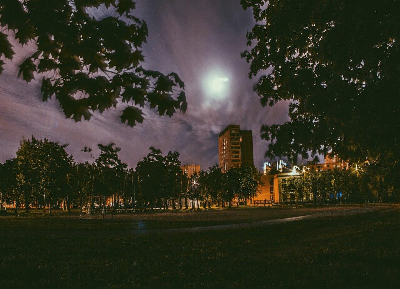 Взрослый мир