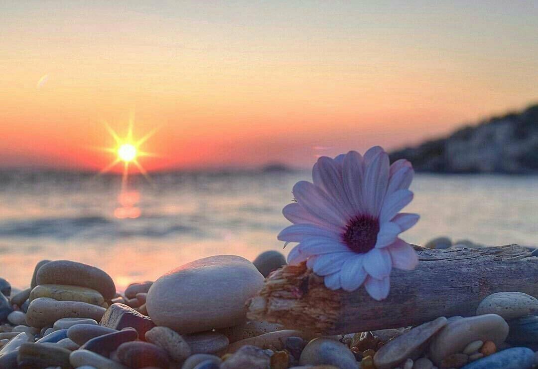 То, что бесценно. 