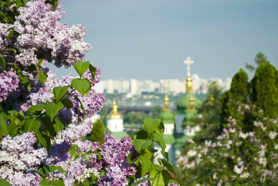 А эти майские денёчки - акростих