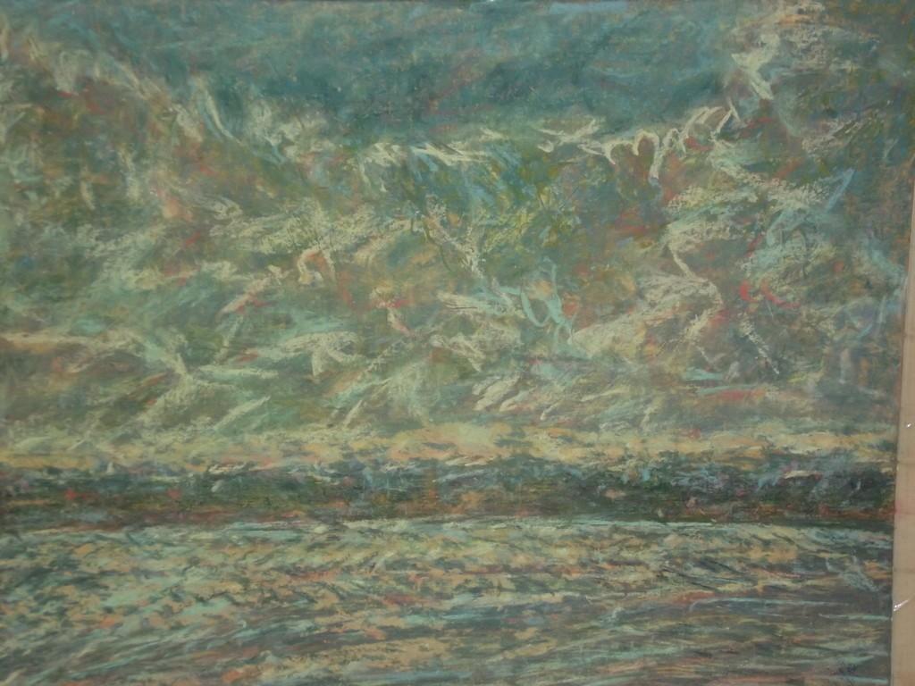 ЧЕБОКСАРСКИЕ ЛИМАНЫ