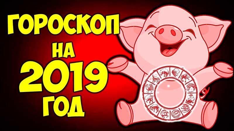 Шуточный гороскоп на 2019 год - год Свиньи