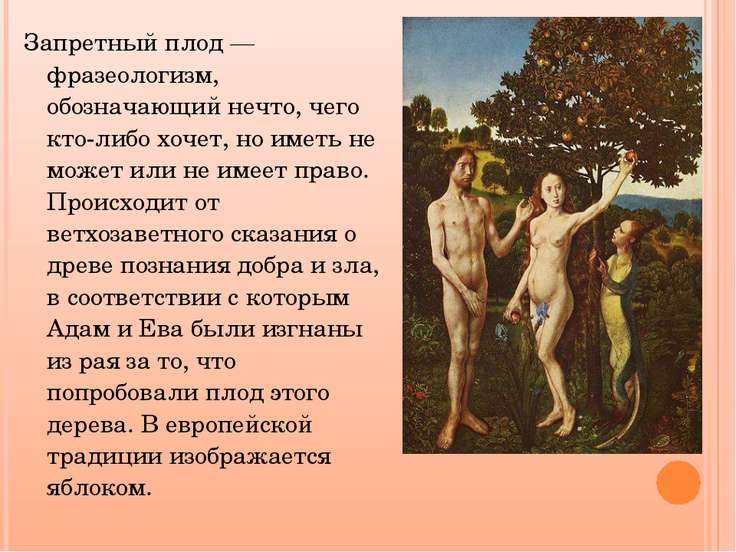 НА ТЕМУ РАЯ