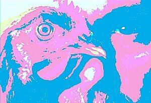 В чужих мирах