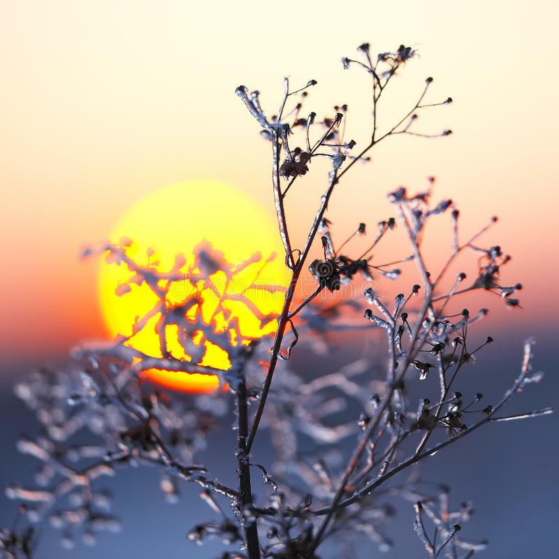 БЕЗ СОЖАЛЕНИЯ ПРОСТИМСЯ