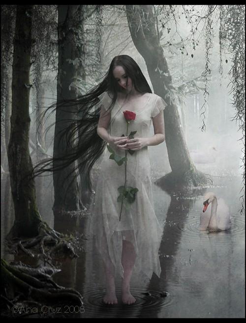 Шаг. Пропасть.