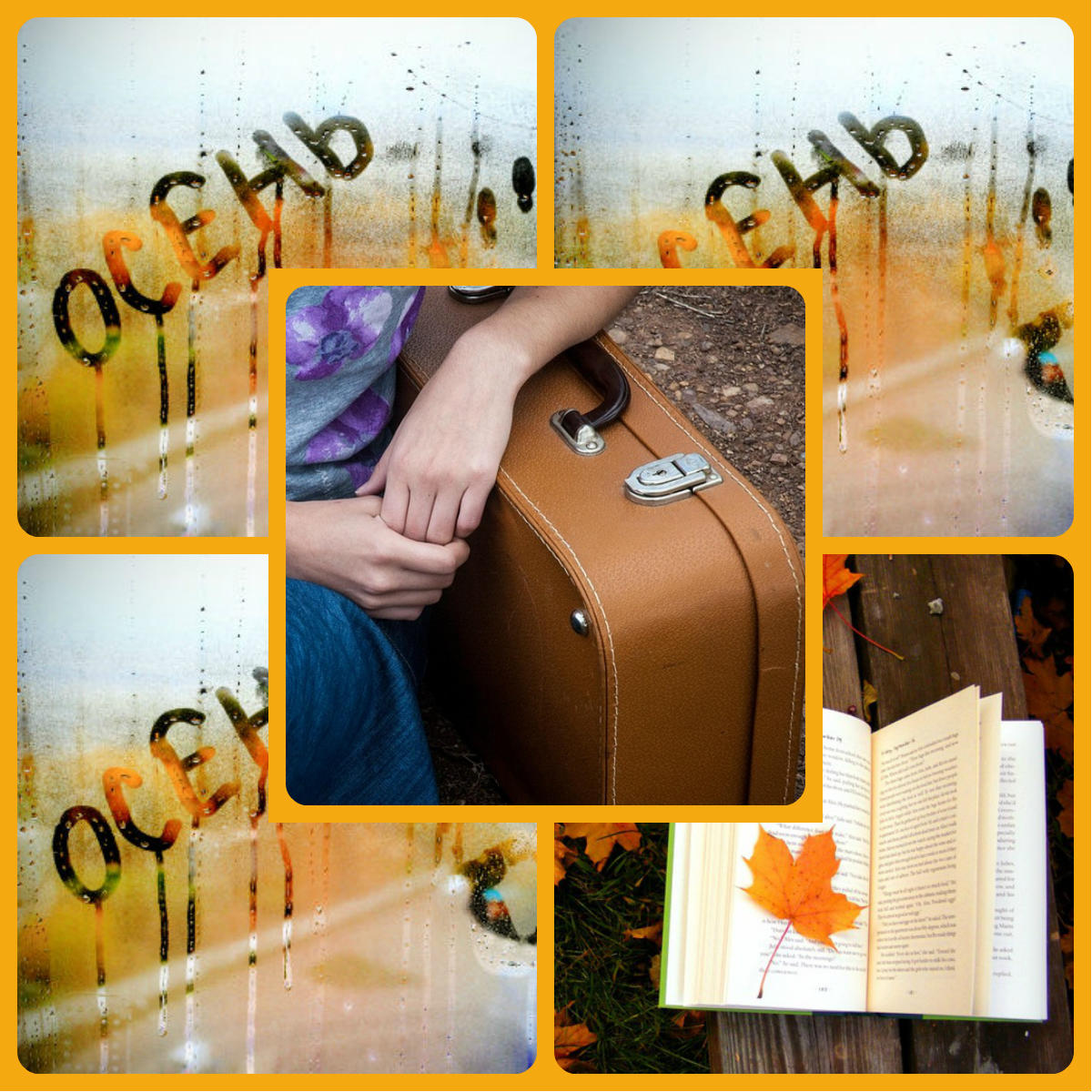 Голубь лапки замочил...