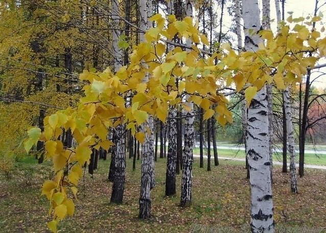 Ведь сексуальна она очень