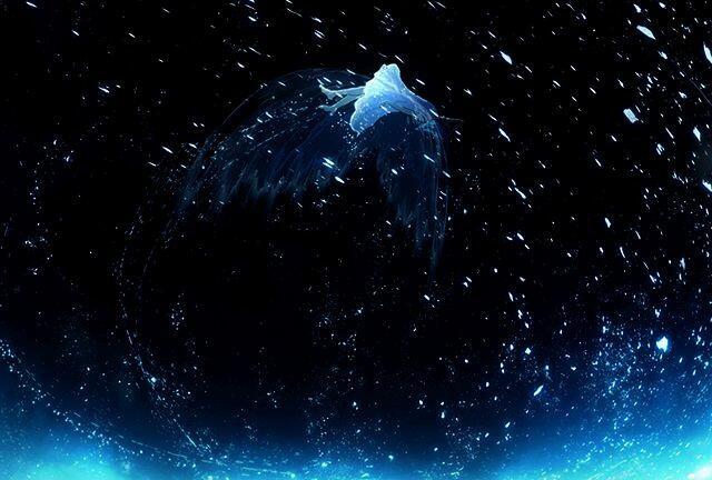 Птица белая большая...