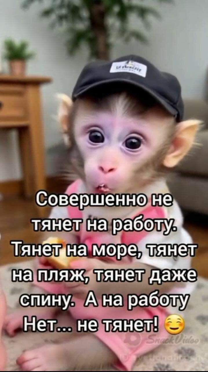 Привет Близнецам!