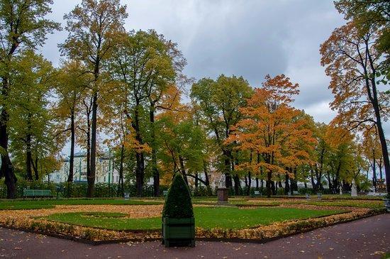 Солнце в гостях у Девы ( не принято в конкурс по причине вольности стихосложения)