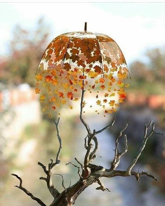 ОСЕННИЕ ЧУВСТВА