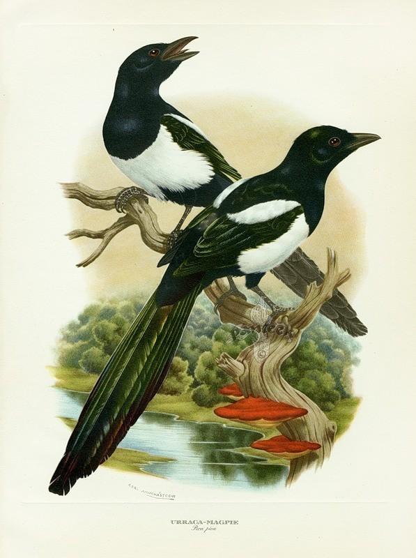 УТРО РАННЕЕ...ИЮЛЬ