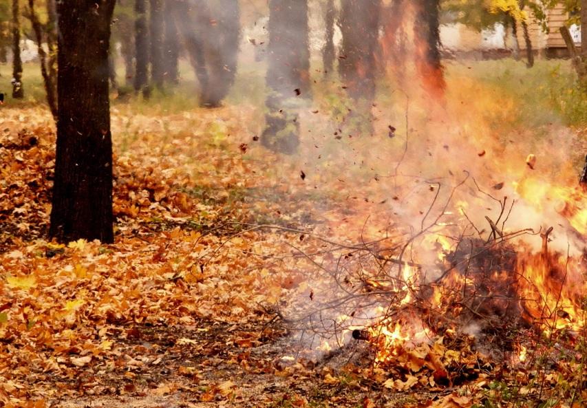 Жгут на кострах уходящее лето. Костер осенью. Осень листья жгут. Костер в осеннем лесу. Огненный листопад.