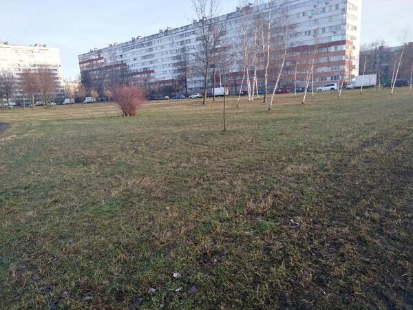 ЗИМОЙ ВЕСНА