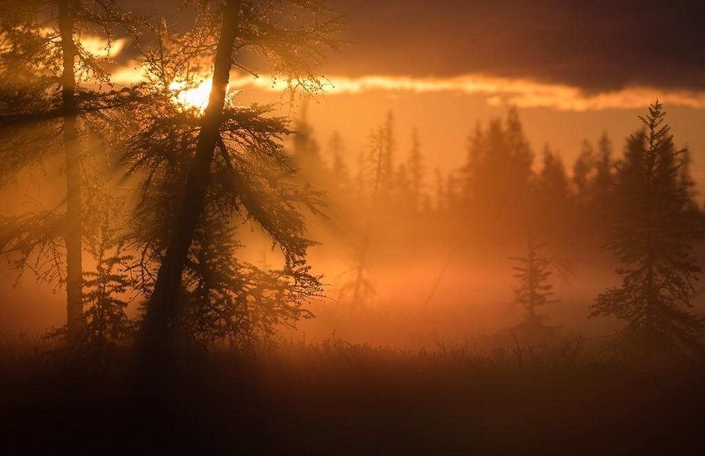 ЖИВОЙ БУКЕТ…