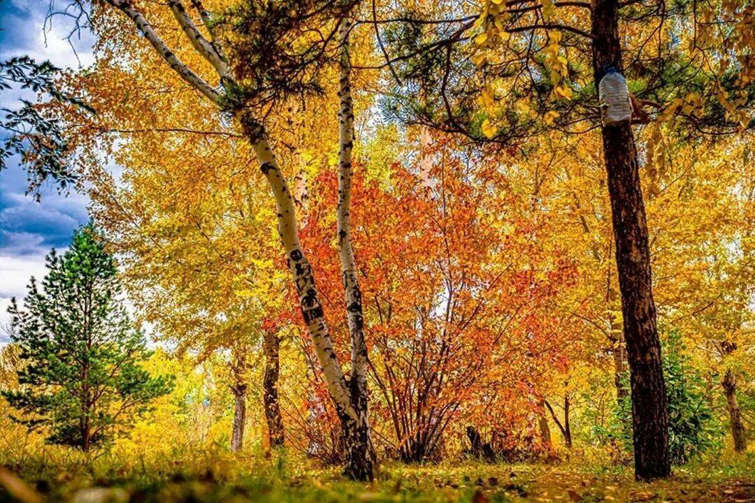 БЕСЧУВСТВЕННОЕ  ВРЕМЯ