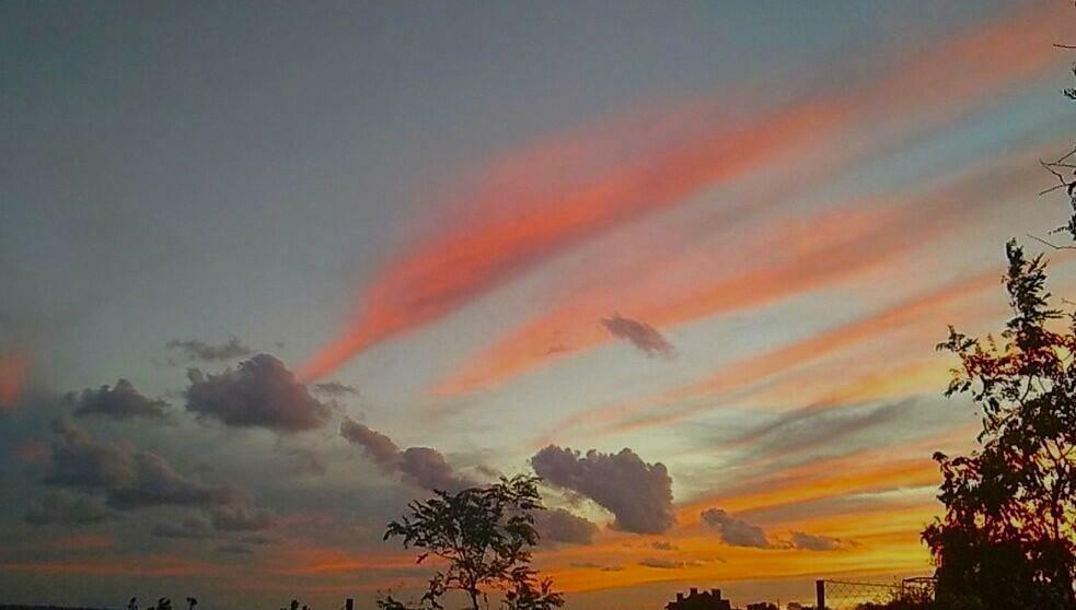 Поднебесный переход