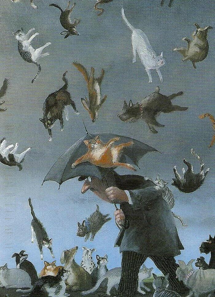 It's raining cats and dogs 