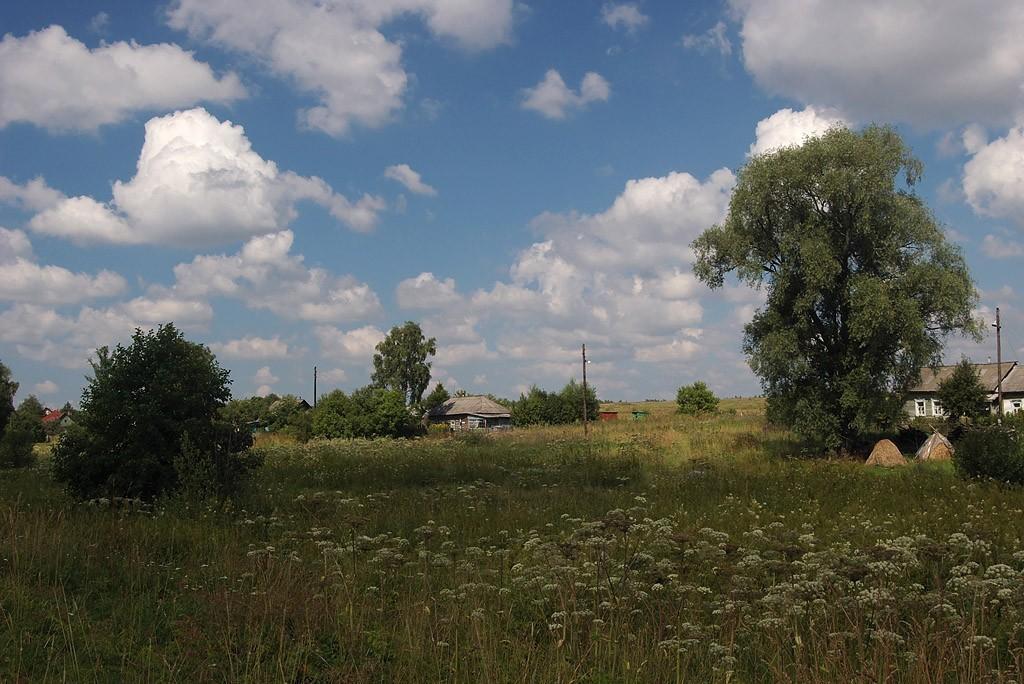 В ЕДИНЕНИИ С ПРИРОДОЙ