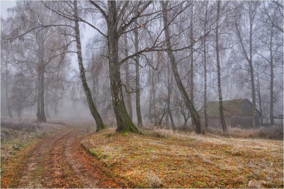 Как же не любить такую Осень.