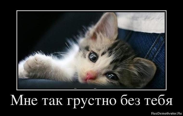 Как можно...?