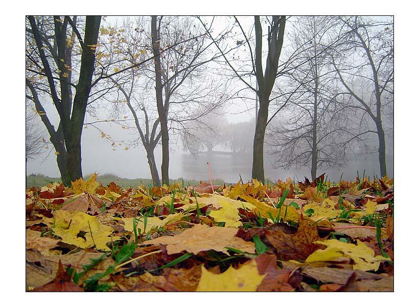 РУКОДЕЛЬНИЦА