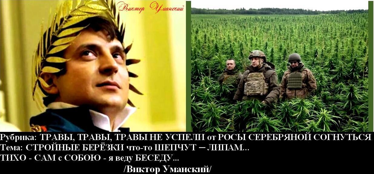 =УКРАИНСКИЙ СИНДРОМ=: ТИХО - САМ с СОБОЮ - я веду БЕСЕДУ...