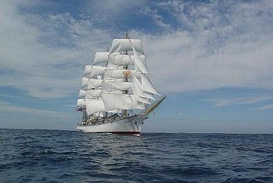 Этот Безумный Мир