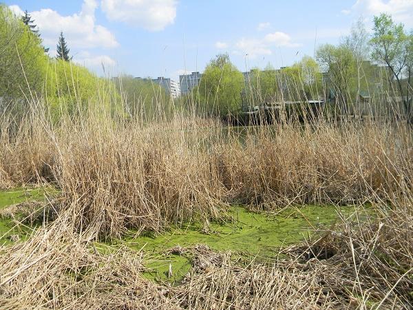 И ПОКОРИМСЯ...